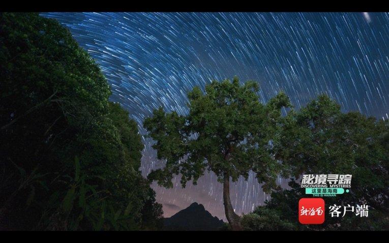 全战：不列颠王座